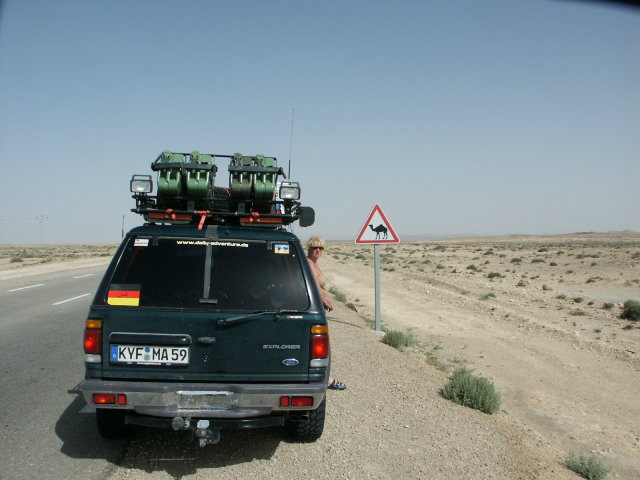 Camel crossing.JPG