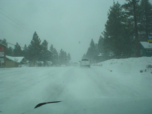 P1010105-2.jpg